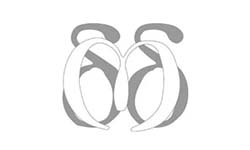 Vinayaka - client logo 13 - 250 X 150